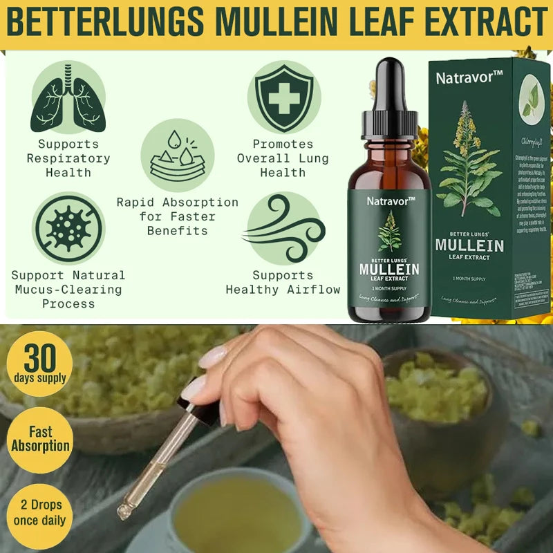 Mullein Extract and Chlorophyll Drops