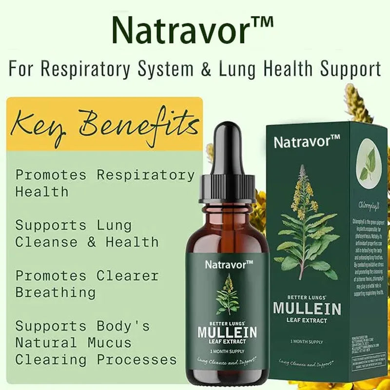 Mullein Extract and Chlorophyll Drops