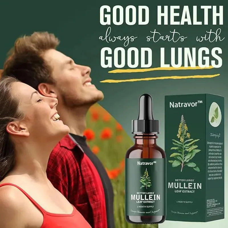 Mullein Extract and Chlorophyll Drops