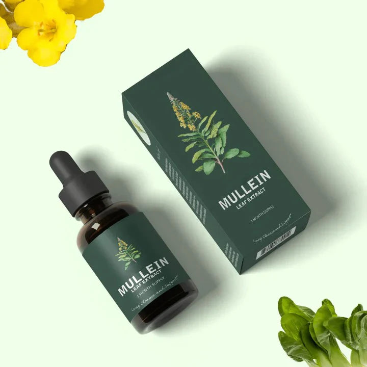 Mullein Extract and Chlorophyll