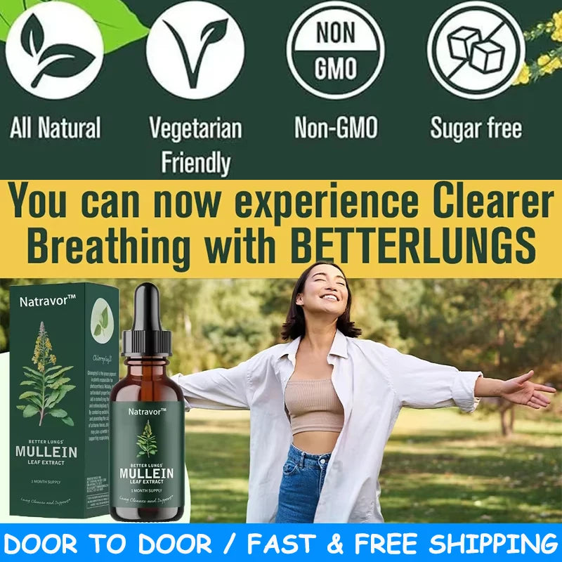 Mullein Extract and Chlorophyll  Drops