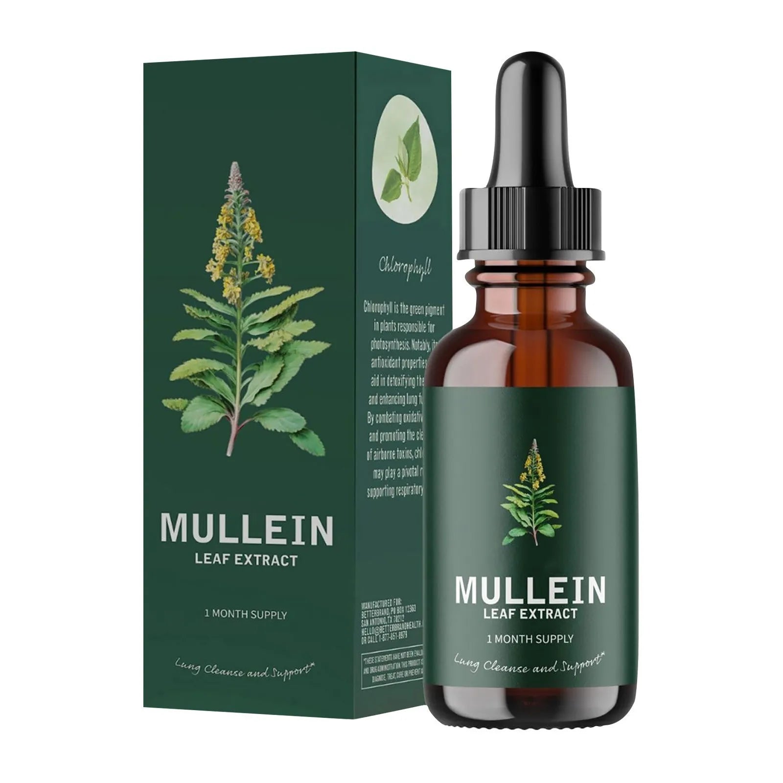 Mullein Extract and Chlorophyll